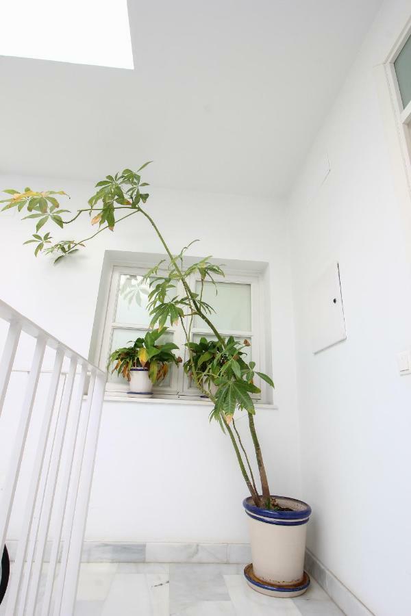 Apartamento Centro San Luis Sevilla Exterior foto